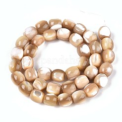 天然トロチッドシェル/トロカスシェルビーズ連売り  バレル  小麦  9~10x8~10mm  穴：1mm  約40個/連  15.75インチ（40cm）&nbsp;SSHEL-N040-14