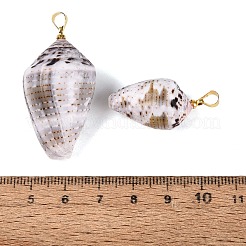 Brass & Natural Cone Shell Pendants&nbsp;SHEL-Q029-21KCG