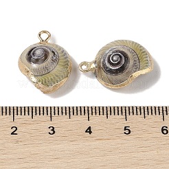 Natural Conch Pendant&nbsp;BSHE-H018-11G
