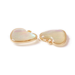 Shell Charms&nbsp;SHEL-CJC0001-01