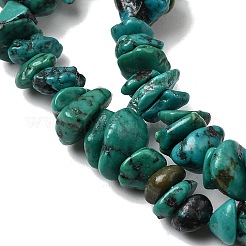 天然の湖北ターコイズビーズ連売り  ナゲット  4.5~14x4.5~14x1.5~7mm  穴：0.5mm  16.14~16.26''（41~41.3センチメートル）&nbsp;G-H345-A01-14