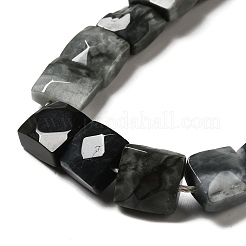 Natural Eagle Eye Stone Beads Strands&nbsp;G-G980-12