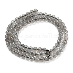 Natural Black Moonstone Beads Strands&nbsp;G-L631-A05-4mm