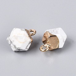 Natural Howlite Pendants&nbsp;G-N359-18G-14