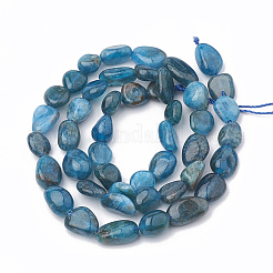 Natural Apatite Beads Strands&nbsp;X-G-S331-6x8-002