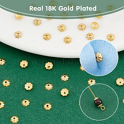 スターリングシルバービーズキャップ40個925個  8  - 花びらの花  18KGP本金メッキ  4x4x1.4mm  穴：0.8mm&nbsp;STER-UN0001-28