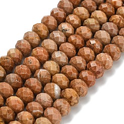 Natural Orange Sesame Jasper Beads Strands&nbsp;G-Z111-A41