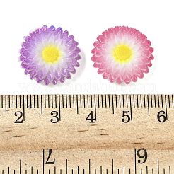 印刷された不透明樹脂デコデンカボション  デイジー  ツートン  ミックスカラー  18x6mm&nbsp;CRES-B023-02