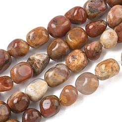 天然の虹色の珪化木ビーズの連  ナゲット  タンブルストーン  6~8.5x6~7.5x5~8mm  穴：0.9mm  約27~35個/連  7.48~8.26''（19~21センチメートル）&nbsp;GG-CBA9392-30