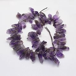 Rough Raw Natural Amethyst Beads Strands&nbsp;G-K202-18
