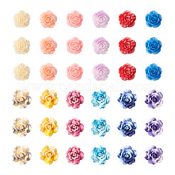 72Pcs 2 Style 6 Colors Smudged Color Opaque Resin Cabochons&nbsp;RESI-CD0001-19