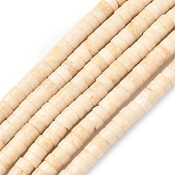 Natural Fossil Beads Strands&nbsp;G-H230-11