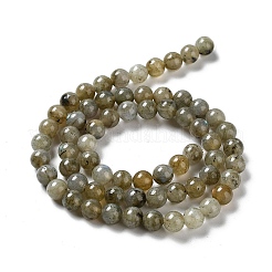 天然石ラブラドライトビーズ連売り  ラウンド  6mm  穴：1.2mm  約66個/連  15.94インチ（40.5cm）&nbsp;G-G065-A01-01