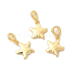 Rack Plating Brass Star European Dangle Charms&nbsp;KK-B068-48G