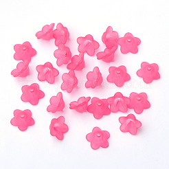 Transparent Acrylic Beads&nbsp;PL560-2