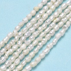 Natural Cultured Freshwater Pearl Beads Strands&nbsp;PEAR-J006-01A