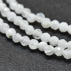 天然レインボー ムーンストーン ビーズ 連売り  ラウンド  多面カット  2mm  穴：0.4mm  約192個/連  15.16インチ（38.5cm）&nbsp;X-G-O186-D02