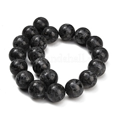 Natural Larvikite Beads Strands&nbsp;GSR20mmC128