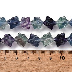 Natural Fluorite Beads Strands&nbsp;G-NH0063-01
