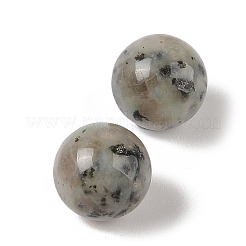 Natural Sesame Jasper No Hole Sphere Beads&nbsp;G-K353-04D-36