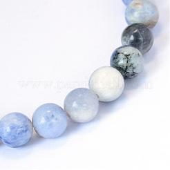 Natural Sodalite Round Bead Strands&nbsp;G-E334-10mm-08