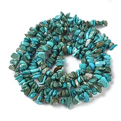 Natural Turquoise Chip Beads Strands&nbsp;G-D093-A01
