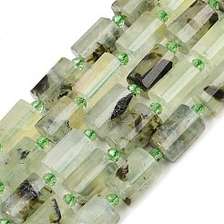 天然石プレナイトビーズ連売り  多面カット  コラム  シードビーズで  15~15.5x10mm  穴：0.8mm  約22個/連  15.75''~15.98''（40~40.6センチメートル）&nbsp;G-G453-E03-10x14mm