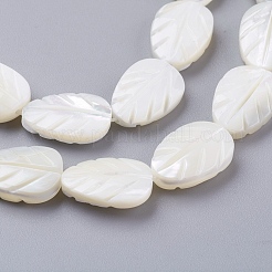 Natural Trochid Shell/Trochus Shell Beads Strands&nbsp;SSHEL-K015-05
