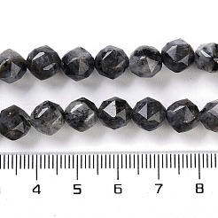 天然ラルビカイトビーズ連売り  多面カット  ダブルハート＆スターカットビーズ  7~8.5x7.5~8mm  穴：0.8~1mm  約48~50個/連  15.16~15.55インチ（38.5~39.5cm）&nbsp;G-NH0021-A04-01