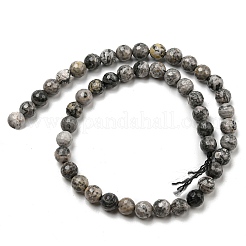 Natural Map Stone/Picasso Stone/Picasso Jasper Beads Strands&nbsp;G-C079-B05-02
