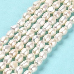 天然養殖淡水パールビーズ連売り  研磨両側  グレード4a+  リネン  5~6x4~5mm  穴：0.5mm  約54~56個/連  12.99~13.98インチ（33~33.5cm）&nbsp;PEAR-E016-065
