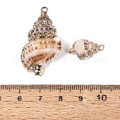 Electroplate Natural Spiral Shell Pendants&nbsp;SSHEL-Q100-40G