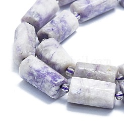 Natural Purple Turquoise Beads Strands&nbsp;G-K245-I09-A01