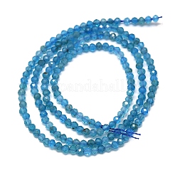 天然石アパタイトビーズ連売り  多面カット  ラウンド  2~2.5mm  穴：0.5mm  約192~196個/連  14.92~15.16インチ（37.9~38.5cm）&nbsp;G-G106-C06-01