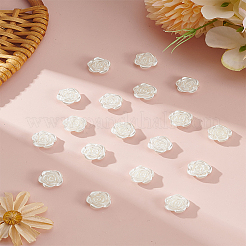 200Pcs ABS Imitation Pearl Beads&nbsp;OACR-LP0001-01