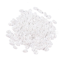 Opaque Colours Luster Glass Seed Beads&nbsp;SEED-T006-02L