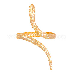 Snake Alloy Cuff Bangles & Cuff Rings Sets&nbsp;FS-WG6CA5E-01