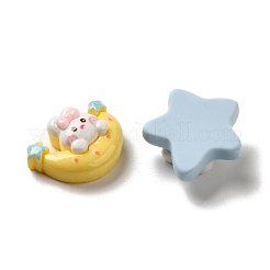 Opaque Cartoon Resin Decoden Cabochons&nbsp;RESI-G091-06