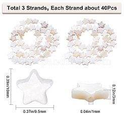 3 連売り天然淡水貝ビーズ 連売り  スター  乳白色  9.5x10x3mm  穴：1mm  約40個/連  13.39''（34センチメートル）&nbsp;SHEL-CN0001-02