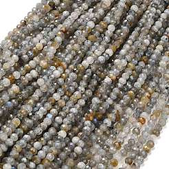 Natural Labradorite Beads Strands&nbsp;G-RM2025524-A01-6mm