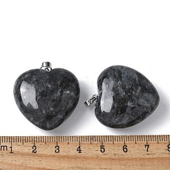 Natural Larvikite Pendants&nbsp;G-A259-02P-01