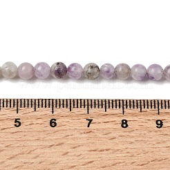 Natural Lepidolite/Purple Mica Stone Beads Strands&nbsp;G-K410-06-4mm-A