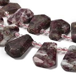 Natural Plum Blossom Tourmaline Beads Strands&nbsp;G-H078-A01-01
