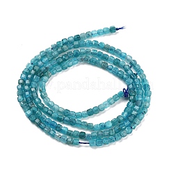 Natural Blue Apatit Beads Strands&nbsp;G-H042-B12-01B