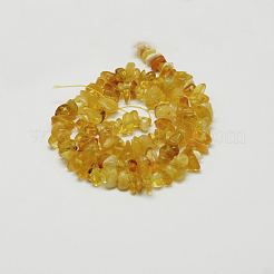 天然琥珀チップビーズ連売り  4~6x4~6mm  穴：1mm  約15.5インチ&nbsp;X-G-E333-01A