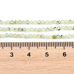 天然石プレナイトビーズ連売り  ラウンド  多面カット  2.5mm  穴：0.7mm  約172個/連  15.35''（39センチメートル）&nbsp;G-RM250104-A7