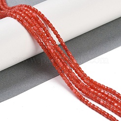 天然淡水シェルビーズ連売り  染め  コラム  クリムゾン  3~3.5x3~3.7mm  穴：0.5mm  約111~119個/連  15.28''（38.8センチメートル）&nbsp;BSHE-H109-04
