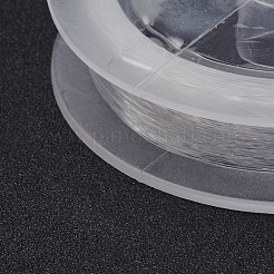 釣り糸ナイロンワイヤー  透明  0.3mm  約100m /ロール&nbsp;NWIR-WH0002-01
