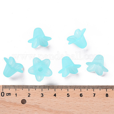 Transparent Acrylic Beads&nbsp;PLF018-13-1