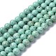 Natural Howlite Beads Strands&nbsp;G-C180-17C-1
